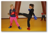 Energy Fight Club